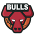 芝加哥公牛